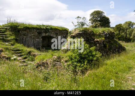 Dunboy Castle ist eine Burgruine aus dem 15.. Jahrhundert in der Nähe von Castletownbere auf der Beara-Halbinsel. Südirland. Stockfoto