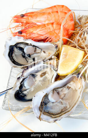 Austern und Garnelen mit Zitrone Keil, Le Bogen Restaurant, Reims, Grand Est, Frankreich Stockfoto