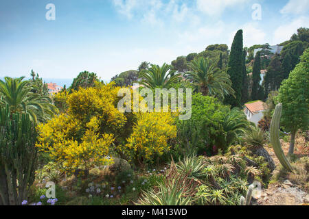 Sommer im Botanischen Garten (Jardi Botanic Marimurtra) an der Mittelmeerküste von Spanien, Costa Brava, Blanes. Stockfoto