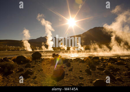 Sonnenaufgang hinter Fumarolen auf einer Höhe von 4300 m, El Tatio Geysire, Atacama-wüste, Antofagasta Region, Chile, Südamerika Stockfoto