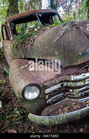 Alte Chevy Truck in den Wäldern, in Geisenhausen, Florida gefunden verrostet Stockfoto