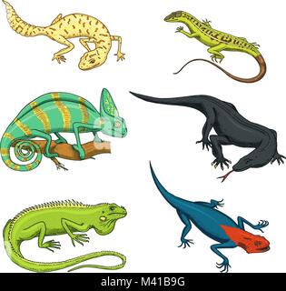 Chameleon Eidechse, grüner Leguan, Komodo Dragon Monitor, Amerikanische Sand, exotische Reptilien und Schlangen, beschmutzt Fat-tailed Gecko. Wilde Tiere in der Natur. lacertian Vector Illustration. graviert Hand gezeichnet. Stock Vektor