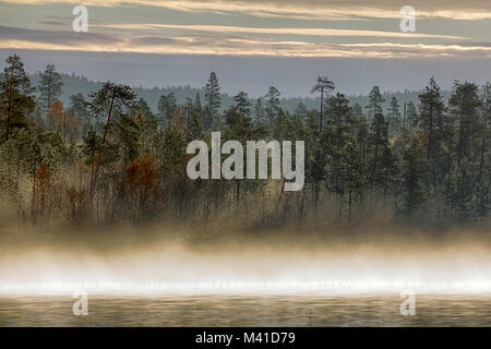 Wunderschöne Landschaft. Charmante magnetischen Fluss im Nebel am frühen Morgen im Herbst Tag. Misty Schleier auf der Bank von Wald Fluss, gelb Laub von Birken, fre Stockfoto