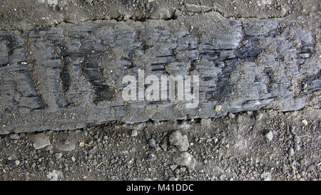 Archäologie. Ausgrabungen der antiken Siedlungen. Verbrannte Holz (10./11. Jahrhundert) ist Beweis der mittelalterlichen Brände in Holz- städte. Stockfoto