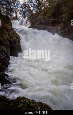 Swallow Falls ist ein Name, der von frühen Touristen geprägt für die Rhaeadr Ewynnol ein Vielfaches Wasserfall System befindet sich auf der Afon Llugwy in der Nähe von Betws-y-Coed, in Stockfoto