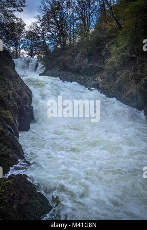 Swallow Falls ist ein Name, der von frühen Touristen geprägt für die Rhaeadr Ewynnol ein Vielfaches Wasserfall System befindet sich auf der Afon Llugwy in der Nähe von Betws-y-Coed, in Stockfoto