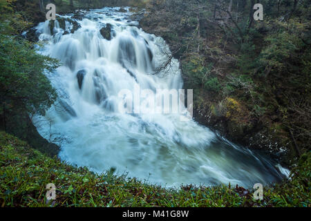 Swallow Falls ist ein Name, der von frühen Touristen geprägt für die Rhaeadr Ewynnol ein Vielfaches Wasserfall System befindet sich auf der Afon Llugwy in der Nähe von Betws-y-Coed, in Stockfoto