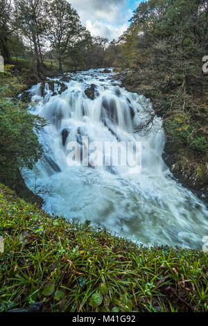 Swallow Falls ist ein Name, der von frühen Touristen geprägt für die Rhaeadr Ewynnol ein Vielfaches Wasserfall System befindet sich auf der Afon Llugwy in der Nähe von Betws-y-Coed, in Stockfoto