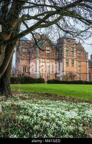 Kiplin Hall ist eine Jakobinische historisches Haus an Kiplin in North Yorkshire, England. Schneeglöckchen Stockfoto