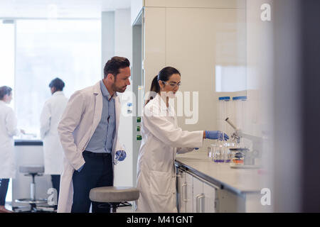 Studentin Wissenschaftler arbeiten an einem Experiment Stockfoto