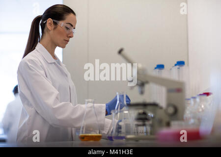 Weibliche Wissenschaftler in einem Labor arbeiten Stockfoto