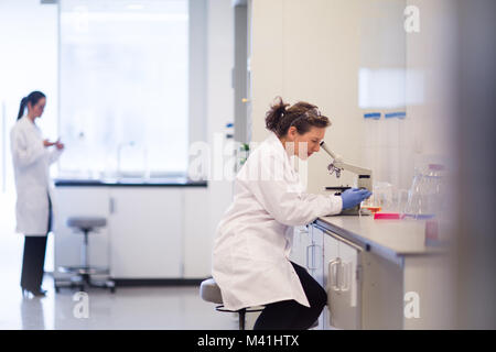 Wissenschaftlerin Durchsicht Mikroskop Stockfoto