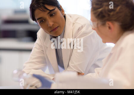 Close-up von zwei weiblichen Wissenschaftler diskutieren die Ergebnisse des Experimentes Stockfoto