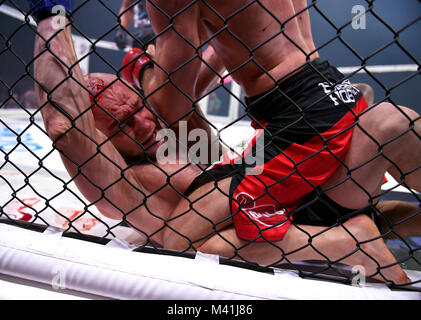 Warschau, Polen - 25. MÄRZ 2017: PLMMA Mixed Martial Arts Nacht in einem Käfig o/p Kämpfer im Octagon Kampf Stockfoto