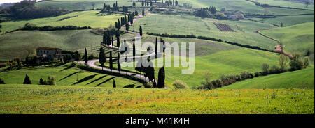 Italien, Toskana, Provinz Siena, Landschaft mit Grate, kurvenreiche Straße, gesäumt von Zypressen Stockfoto