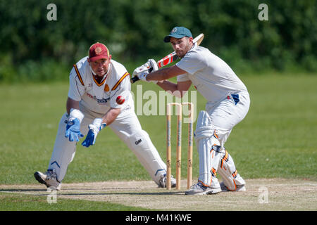 Kricket Batsman in Aktion. Stockfoto