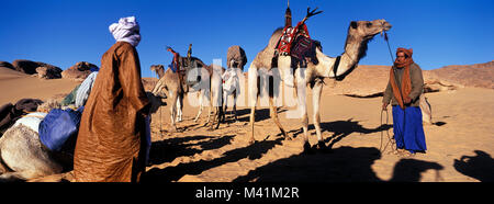 Libyen, Sahara, Kamel Trekking im Tassili Maghidet Stockfoto