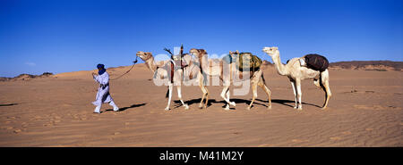 Libyen, Sahara, Kamel Trekking im Tassili Maghidet Stockfoto