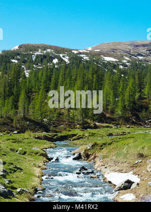 Alpine Fluss Strom fließt zwischen den alpinen Wiesen des devero Alp an einem sonnigen Tag, Nähe, Sommer Bergwelt Stockfoto