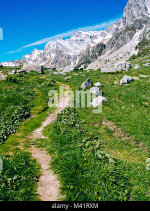 Pfad schlängelt sich durch die Almwiesen der Devero Alp an einem sonnigen Tag, Alpi Nähe, Sommer Bergwelt Stockfoto