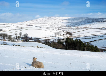 Shining Tor, Winter, Peak District National Park, Großbritannien Stockfoto