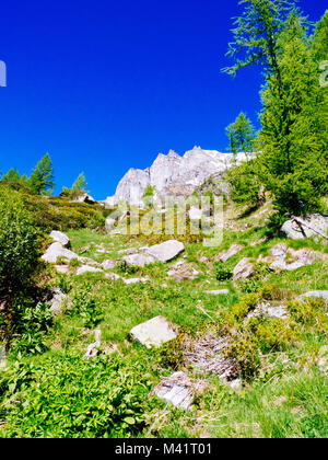 Pfad schlängelt sich durch die Almwiesen der Devero Alp an einem sonnigen Tag, Alpi Nähe, Sommer Bergwelt Stockfoto