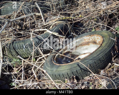 Altes Auto Reifen oder Reifen gedumpten im Unterholz in der Landschaft, Großbritannien Stockfoto