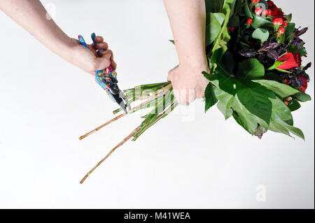 Buches von Blumen für einen besonderen Anlass wie Valentinstag angeordnet wird. Frau trimmen die Stiele der Blumen nach anordnen. Stockfoto