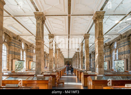 Schatzkammer der Erde Galerie im Natural History Museum in South Kensington, London, England, Großbritannien Stockfoto