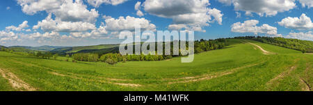 Blauen bewölkten Himmel über grüne Felder und Wald Stockfoto