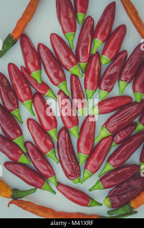 Rote scharfe Chili Gemüse Anordnung isoliert Stockfoto