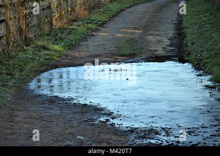 Gefrorene Pfützen in der Landschaft im Winter Stockfoto