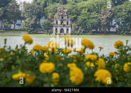 Hoan Kiem See mit gelben Blüten in Hanoi, Vietnam Stockfoto