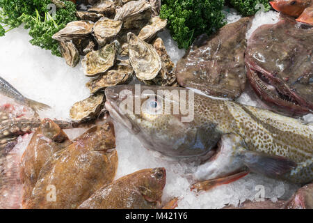 Fischgeschäft Platte, North Shields, North East England, Großbritannien Stockfoto