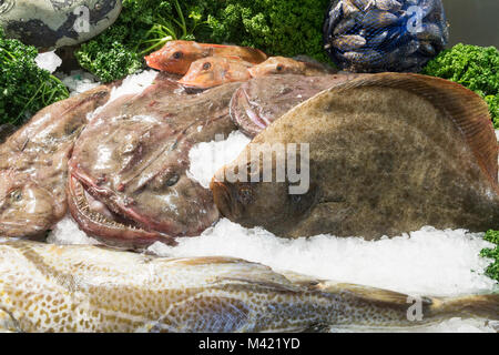 Fischgeschäft Platte, North Shields, North East England, Großbritannien Stockfoto