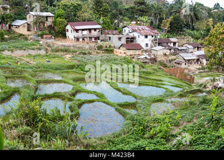 Reisfelder und Dorf, ländliche Landschaft, Südliche Madagaskar Stockfoto