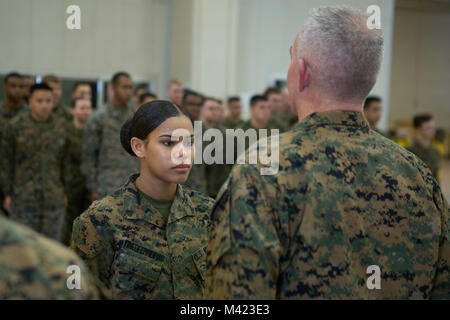 Brig. Gen. Daniel B. Conley, Kommandierender General, 3. Marine Logistik Gruppe, präsentiert Cpl. Nelfi Tineoferreiras noncommissioned Officer, die Leiter der Eingangsstelle, Supply Company, Bekämpfung Logistik Regiment 35, 3. MLG, mit Marine die III Marine Expeditionary Force's des Jahres in Camp Kinser, Okinawa, Japan, 8. Februar, 2018. Tineoferreiras wurde mit dem III MEF Marine des Jahres für sein vorbildliches in ihrer Pflichten, denen ihre technischen Fertigkeiten und Demonstration von zentralen Werten das Marine Corps" geehrt. Tineoferreiras ist ein Einheimischer aus der Dominikanischen Republik und wurde in eingestellt Stockfoto