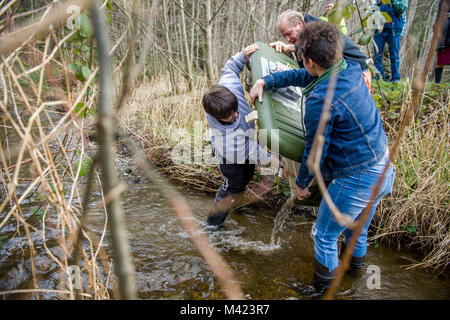 180208-N-ZP 059-0021 MANCHESTER Washington, (Feb. 08, 2018) - Jerry Polley, top, Mathematik und Wissenschaft Lehrer an Entdeckung Alternative High School in Port Orchard, hilft Studenten freiwillige Lachs braten Freigabe von einem Kühler in Beaver Creek, die durch die Naval Supply System Befehl Fleet Logistics Center (FLC) NAVSUP Puget Sound der Abteilung Manchester Tanklager, für Version läuft. Kursteilnehmer gaben 20.000 frisch geschlüpfte Lachs braten in Beaver Creek als Teil der fortgesetzten Bemühungen der Mündung wiederherzustellen. (U.S. Marine Foto von Mass Communication Specialist 2. Klasse Jakob G. Sisco/Freigegeben) Stockfoto