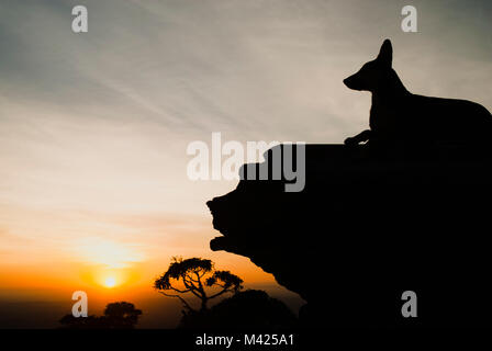 Hund und Stein Profil Silhouetten bei Sonnenaufgang in Brasilien Stockfoto