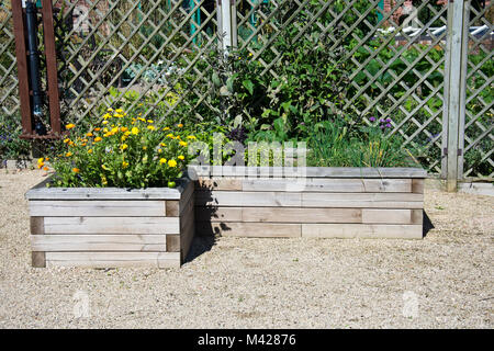 Angesprochen Kraut bett Grundstücke in einer Küche Garten Stockfoto