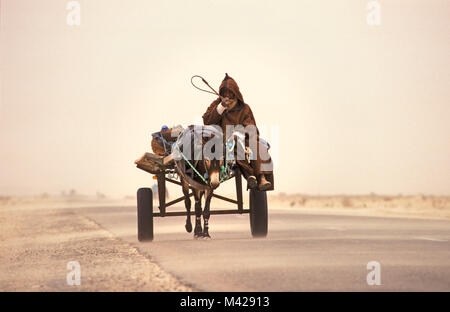 Tunesien. Douz Oase. Sahara. Mann der Berber Stamm auf Eselskarren in Sand Storm. Stockfoto