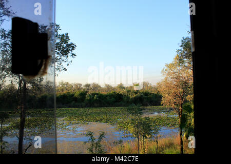 Blick aus dem Bus auf die Kante des Pantanal, Brasilien Stockfoto