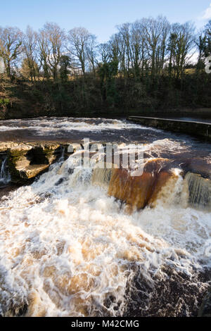 Richmond fällt auf den Fluss Swale, Richmond, North Yorkshire, England, Großbritannien Stockfoto