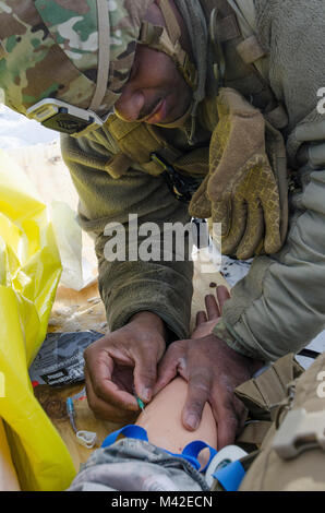 FORT MCCOY, Wis-US Army Reserve Staff Sgt. Javar Manley, Sanitäter, Task Force Triade, Betrieb Cold Steel II, beginnt ein IV für einen Patienten im Notfall Simulator während einer medizinischen Evakuierung Probe am Fort McCoy, Wis., Feb 8, 2018. Betrieb Cold Steel ist der US-Armee finden Crew - Serviert Waffen Qualifizierung und Validierung ausüben, um sicherzustellen, dass America's Army Reserve Einheiten und Soldaten ausgebildet sind und bereit, auf kurze bereitstellen - Bekanntmachung als Teil bereit, Kraft X und überall in der Welt bekämpfen - bereit und tödlichen Feuerkraft zur Unterstützung der Armee und unsere gemeinsamen Partner bringen. (U.S. Armee finden Stockfoto