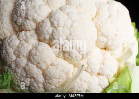 Blumenkohl Kopf Quark coliflor auf Schwarz reflektierende studio Hintergrund. Isolierte schwarze glänzende Spiegel gespiegelt Hintergrund für jedes Konzept. Karfiol. Stockfoto