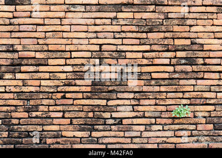 Alte Mauer, verschiedene Größe und rot, Orange und gelb unregelmäßiges Mauerwerk Muster. Vintage Textur Hintergrund. Altes Gebäude und Gebäude ba Stockfoto