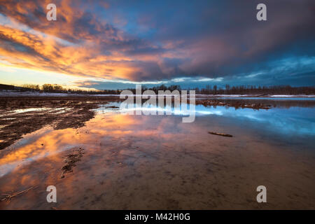 Poebene, Piemont, Italien. Reflexionen bei Sonnenuntergang in der Po River Park. Stockfoto