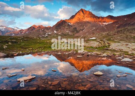 Gavia Pass, Sondrio Provinz, Nationalpark Stilfser Joch, Lombardei, Italien. Die Corno von Tre Signori in eine kleine Pfütze wider. Stockfoto