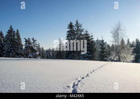 Malerische Berglandschaft - Spuren von einem wilden Tier im Schnee An einem frostigen und sonnigen Morgen Stockfoto