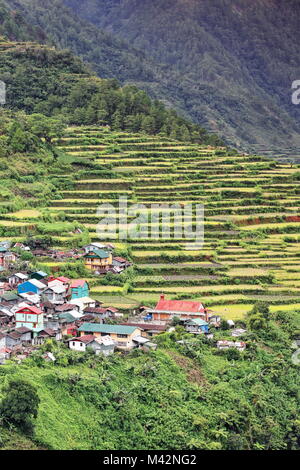 Dorf und Reisterrassen auf der Klippe über Talubin River Valley in der Bucht thront - yo Barangay entlang der Straße von Banaue. Bontoc Gemeinde - Berg p Stockfoto